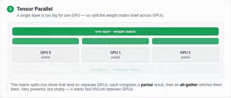 Tensor parallel animation