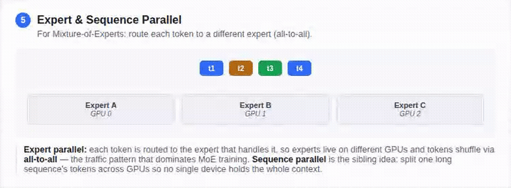 Expert and sequence parallel animation